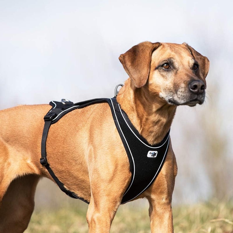 Curli Belka Comfort Harness Black S - Image 5